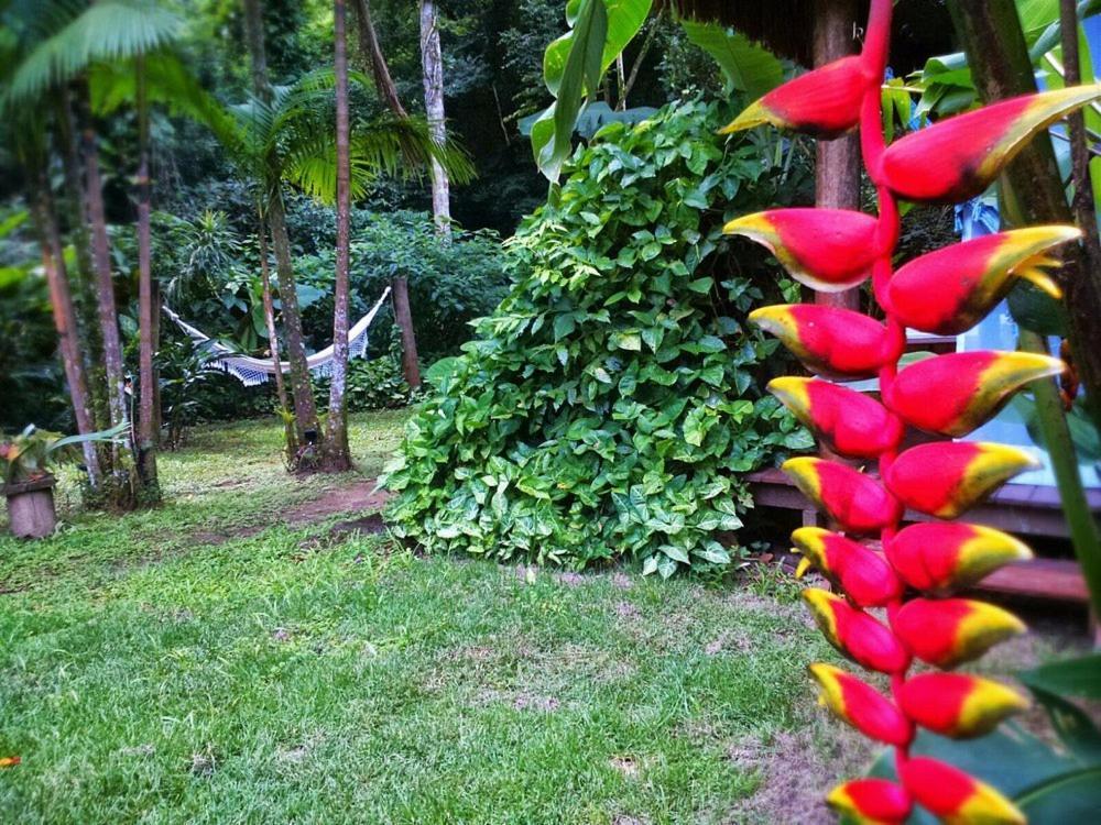 Sumatra Ecolodge Sao Sebastiao  Bagian luar foto